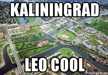 kaliningrad leo cool, Мем Leo Cools blog