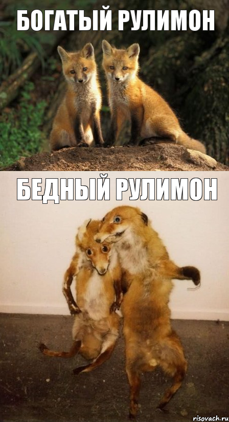 Богатый Рулимон Бедный рулимон, Комикс Лисицы