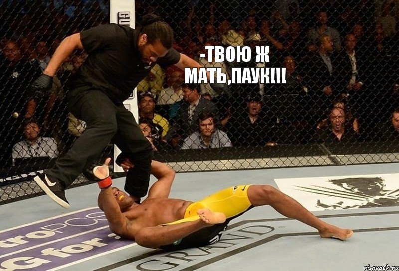 -твою ж мать,паук!!!, Комикс лол