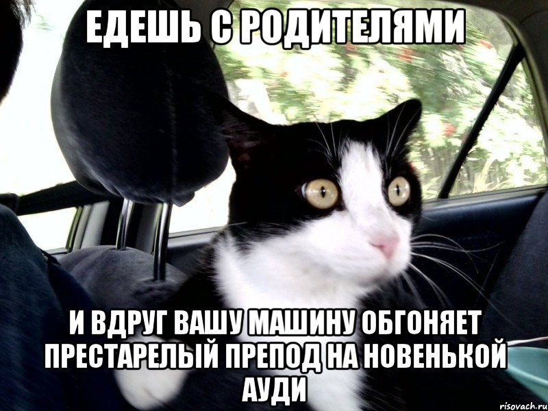 едешь с родителями и вдруг вашу машину обгоняет престарелый препод на новенькой ауди, Мем Механика