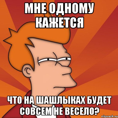 мне одному кажется что на шашлыках будет совсем не весело?, Мем Мне кажется или (Фрай Футурама)