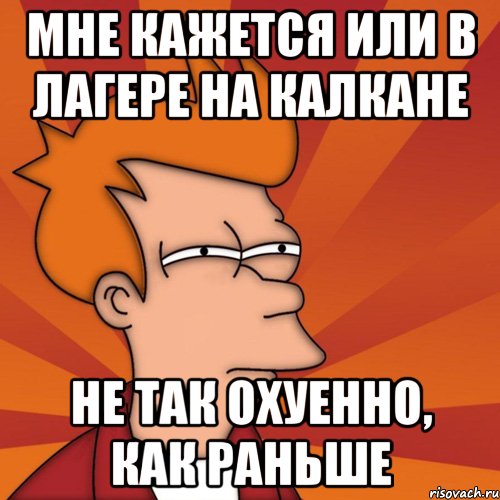 мне кажется или в лагере на калкане не так охуенно, как раньше, Мем Мне кажется или (Фрай Футурама)