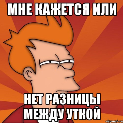мне кажется или нет разницы между уткой, Мем Мне кажется или (Фрай Футурама)