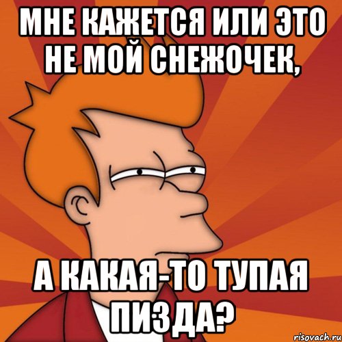 мне кажется или это не мой снежочек, а какая-то тупая пизда?, Мем Мне кажется или (Фрай Футурама)