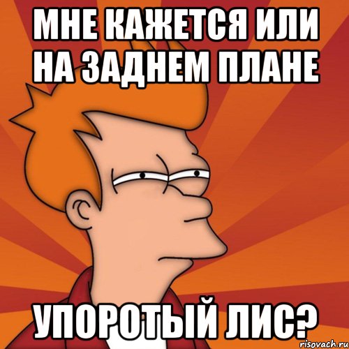 мне кажется или на заднем плане упоротый лис?, Мем Мне кажется или (Фрай Футурама)