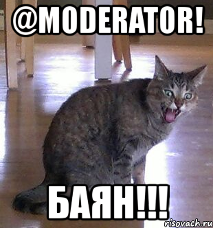 @moderator! баян!!!
