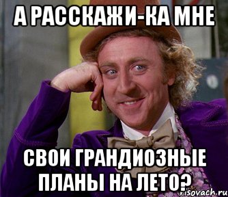 а расскажи-ка мне свои грандиозные планы на лето?, Мем мое лицо