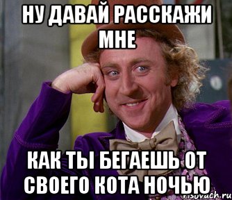 ну давай расскажи мне как ты бегаешь от своего кота ночью, Мем мое лицо