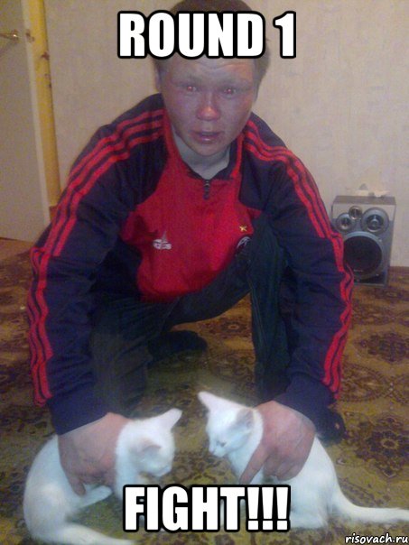 round 1 fight!!!, Мем Мортал комбат