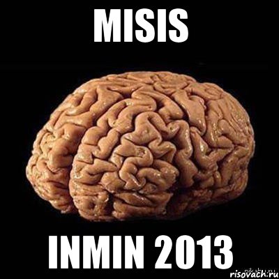 misis inmin 2013