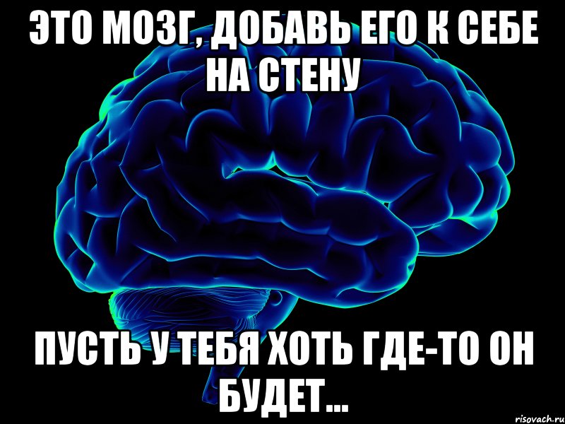 это мозг, добавь его к себе на стену пусть у тебя хоть где-то он будет..., Мем мозг