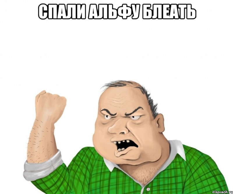 спали альфу блеать , Мем мужик