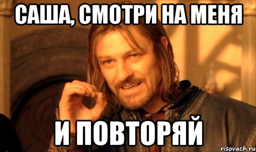 саша, смотри на меня и повторяй, Мем Нельзя просто так взять и (Боромир мем)