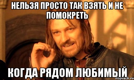 нельзя просто так взять и не помокреть когда рядом любимый, Мем Нельзя просто так взять и (Боромир мем)
