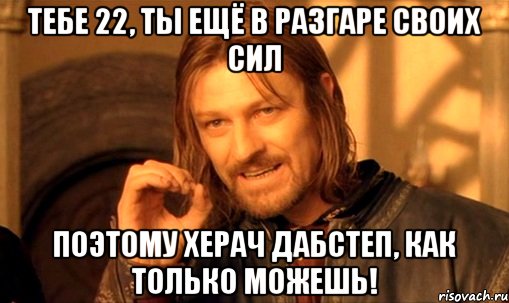 тебе 22, ты ещё в разгаре своих сил поэтому херач дабстеп, как только можешь!, Мем Нельзя просто так взять и (Боромир мем)