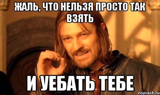 жаль, что нельзя просто так взять и уебать тебе, Мем Нельзя просто так взять и (Боромир мем)