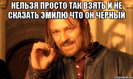 нельзя просто так взять и не сказать эмилю что он черный , Мем Нельзя просто так взять и (Боромир мем)