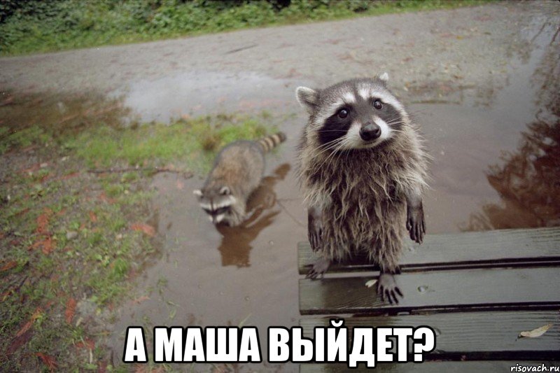  а маша выйдет?