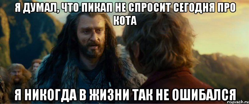 я думал, что пикап не спросит сегодня про кота я никогда в жизни так не ошибался