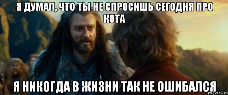 я думал, что ты не спросишь сегодня про кота я никогда в жизни так не ошибался, Мем никогда еще так не ошибался