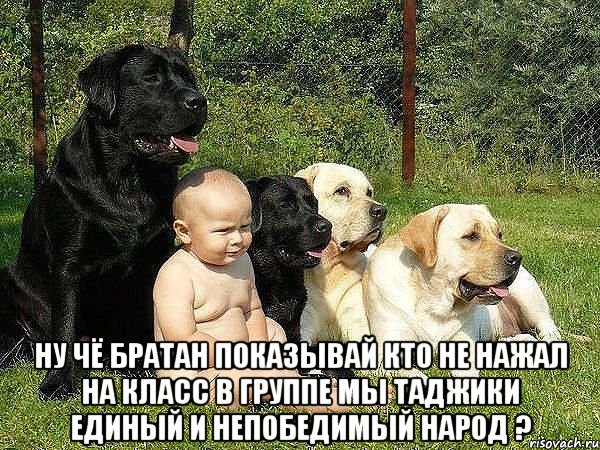  ну чё братан показывай кто не нажал на класс в группе мы таджики единый и непобедимый народ ?, Мем Ну че
