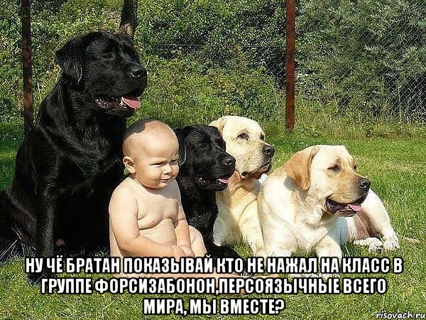  ну чё братан показывай кто не нажал на класс в группе форсизабонон,персоязычные всего мира, мы вместе?, Мем Ну че