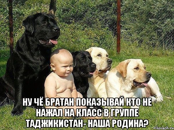  ну чё братан показывай кто не нажал на класс в группе таджикистан- наша родина?, Мем Ну че