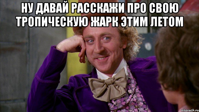 ну давай расскажи про свою тропическую жарк этим летом , Мем Ну давай расскажи (Вилли Вонка)