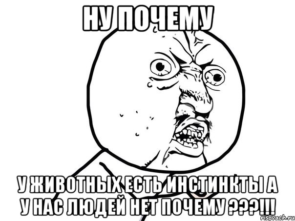 ну почему у животных есть инстинкты а у нас людей нет почему ???!!!, Мем Ну почему (белый фон)