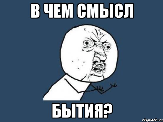 в чем смысл бытия?, Мем Ну почему