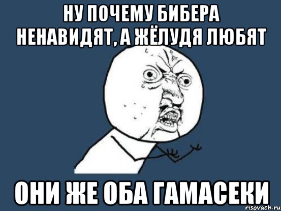 ну почему бибера ненавидят, а жёлудя любят они же оба гамасеки, Мем Ну почему