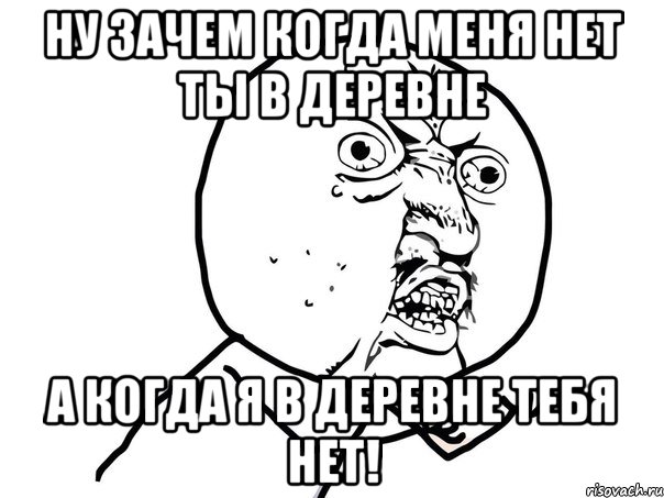 ну зачем когда меня нет ты в деревне а когда я в деревне тебя нет!, Мем Ну почему (белый фон)