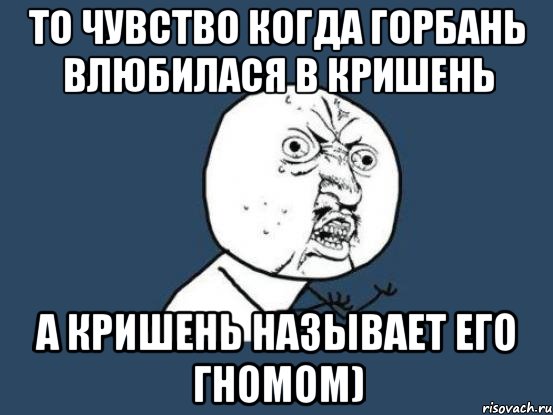 то чувство когда горбань влюбилася в кришень а кришень называет его гномом), Мем Ну почему