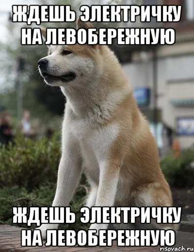 ждешь электричку на левобережную ждешь электричку на левобережную, Мем О