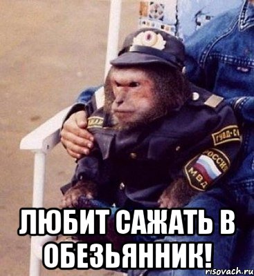  любит сажать в обезьянник!, Мем Обез