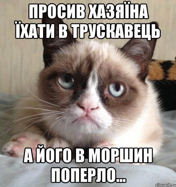 просив хазяїна їхати в трускавець а його в моршин поперло...