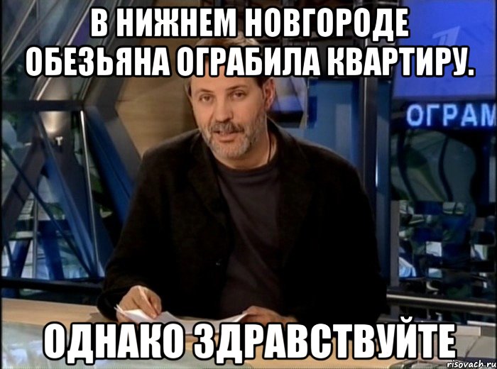 в нижнем новгороде обезьяна ограбила квартиру. однако здравствуйте