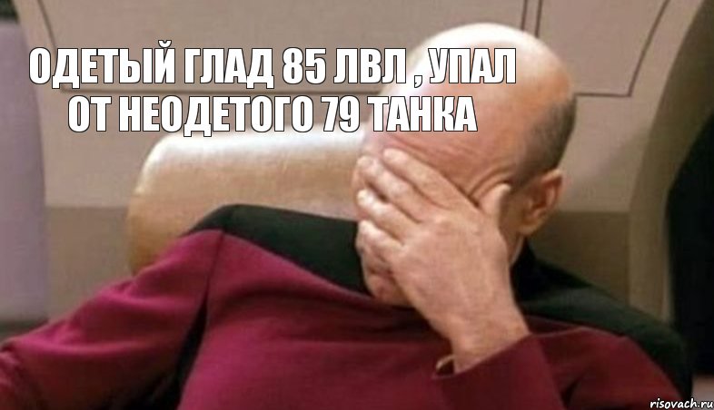 Одетый Глад 85 лвл , упал от неодетого 79 Танка, Мем  Рукалицо