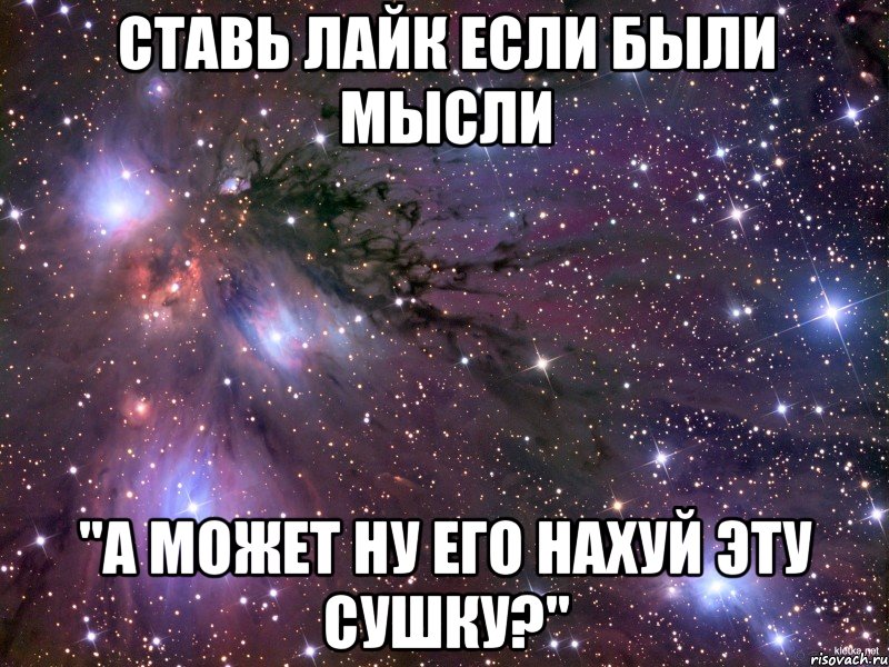 ставь лайк если были мысли ''а может ну его нахуй эту сушку?''