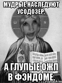 мудрые наследуют усодозер, а глупые ожп в фэндоме., Мем оскарблениерелигиозный