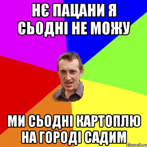 нє пацани я сьодні не можу ми сьодні картоплю на городі садим, Мем Чоткий паца