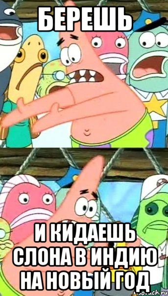берешь и кидаешь слона в индию на новый год