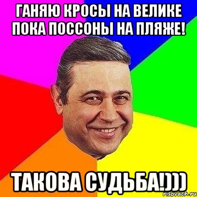 ганяю кросы на велике пока поссоны на пляже! такова судьба!))), Мем Петросяныч