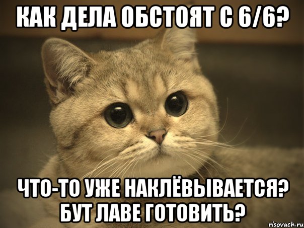 как дела обстоят с 6/6? что-то уже наклёвывается? бут лаве готовить?, Мем Пидрила ебаная котик