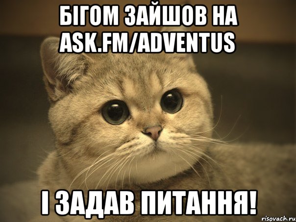 бігом зайшов на ask.fm/adventus і задав питання!, Мем Пидрила ебаная котик