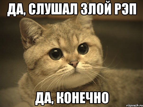 да, слушал злой рэп да, конечно, Мем Пидрила ебаная котик