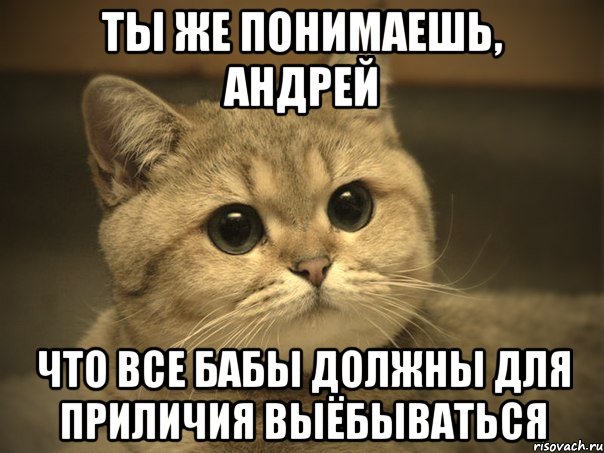 ты же понимаешь, андрей что все бабы должны для приличия выёбываться, Мем Пидрила ебаная котик