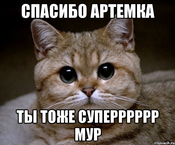 спасибо артемка ты тоже суперррррр мур, Мем Пидрила Ебаная