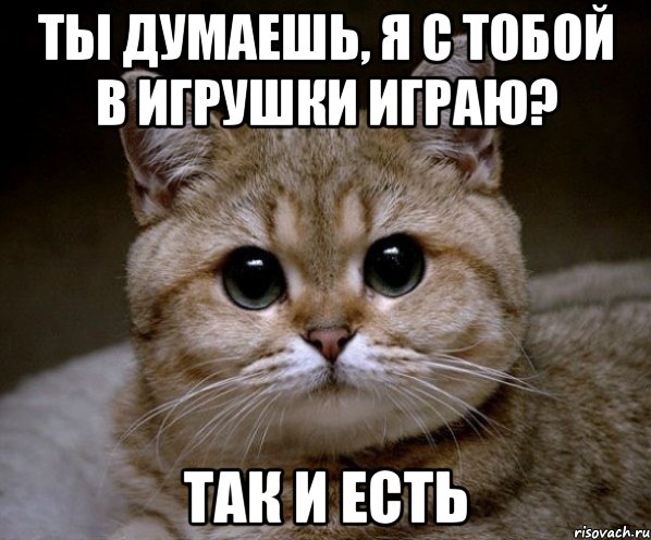 ты думаешь, я с тобой в игрушки играю? так и есть, Мем Пидрила Ебаная