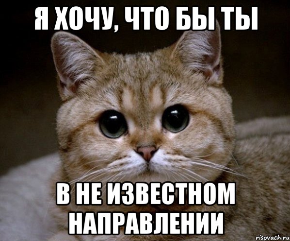 я хочу, что бы ты в не известном направлении, Мем Пидрила Ебаная